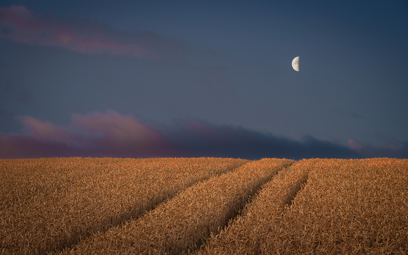 08 August Harvest Moon By Stuart Knight LRPS
