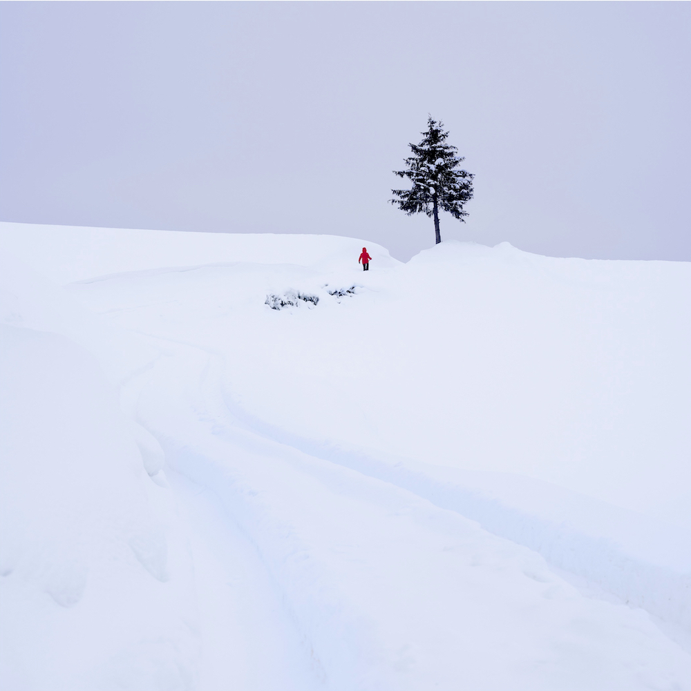 Winter Excursion, Ljubljana,Slovenia