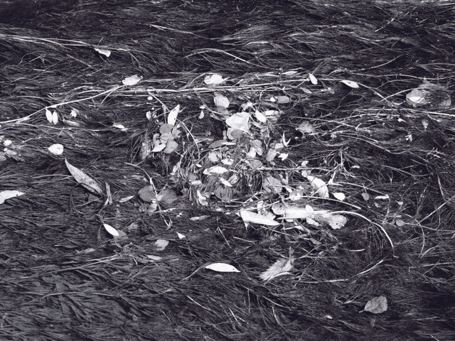 470172069 1118077996349189 9174773097715728092 N