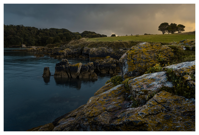 Looking Out Over The Cove