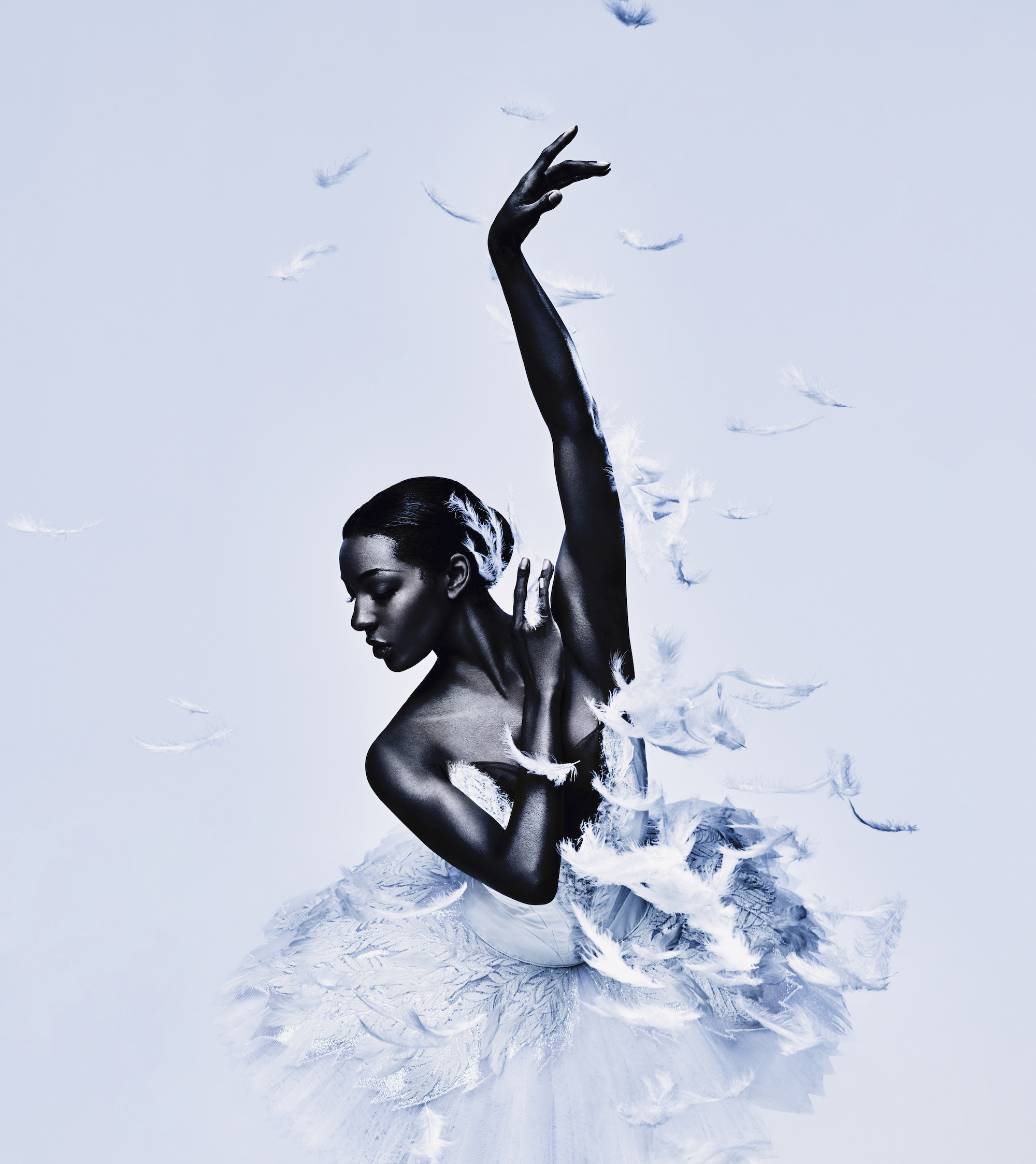 Swan Lake Precious Adams By Jason Bell