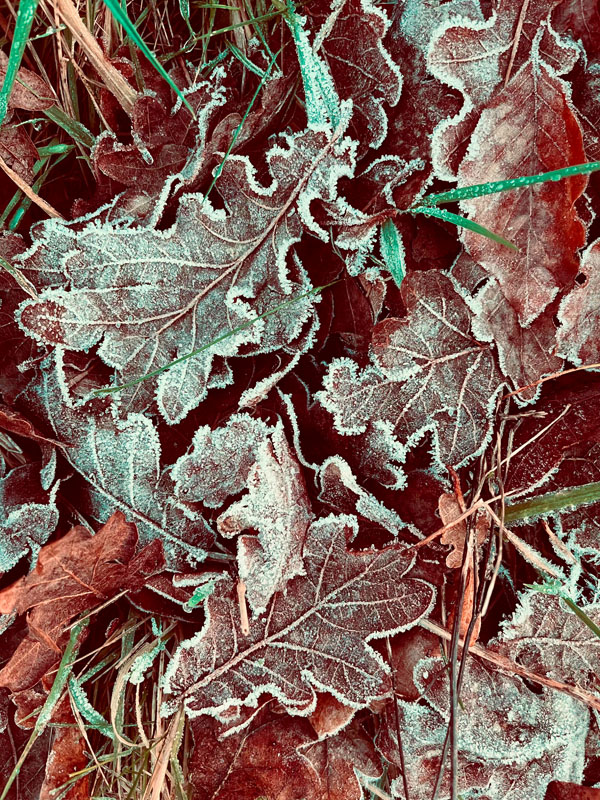 Jacob, St Mark's Junior School