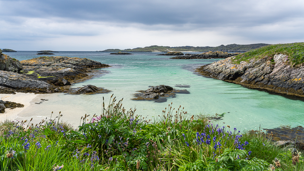 Sand, Sea And Flowers, Cairns Of Coll, Inner Hebrides by Lachlan French