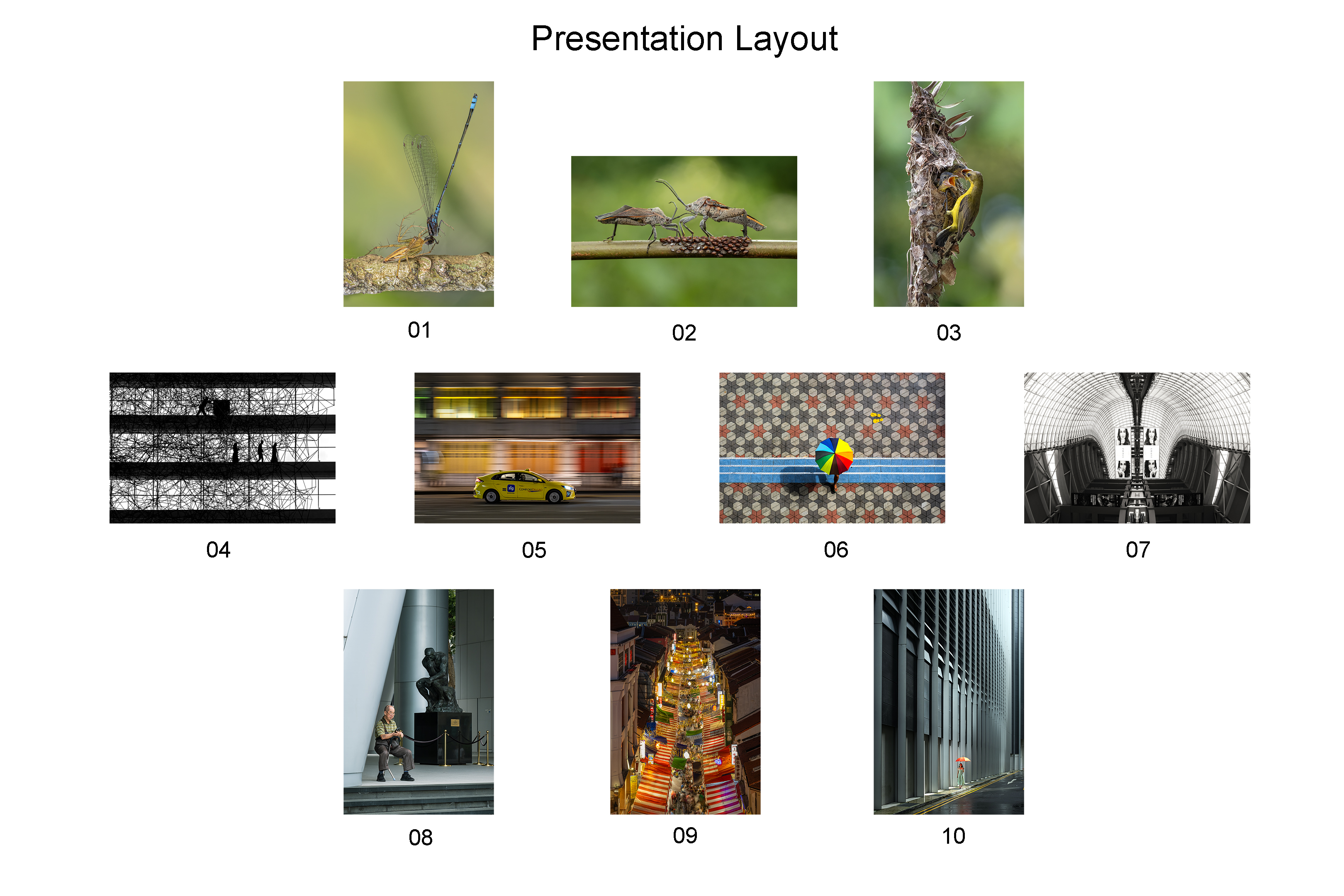 LRPS Feb 2025 Presentation Layout
