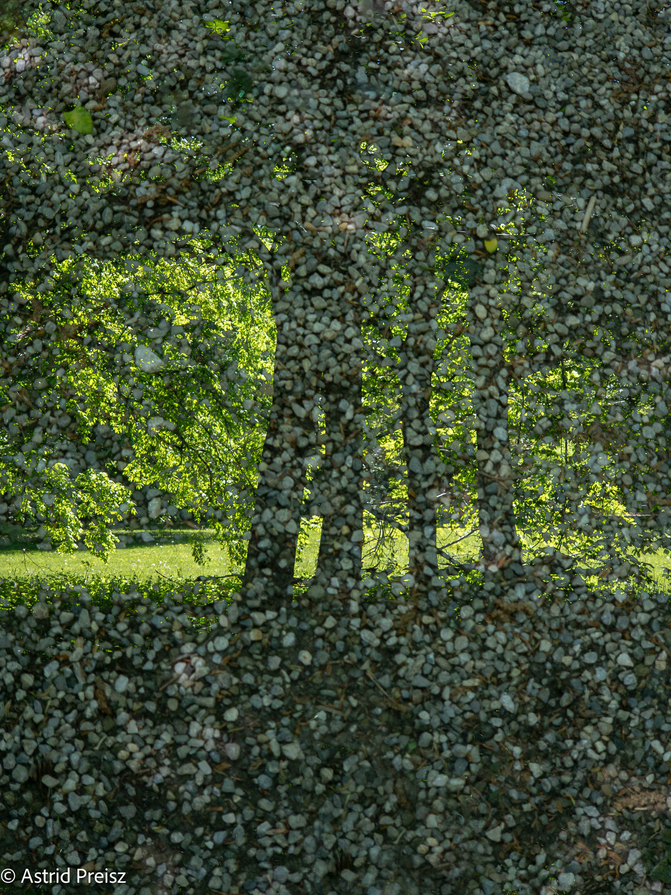 Austria Park Of Eggenberg Castle Dotted Reality Astrid Preisz