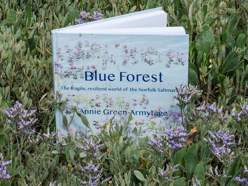 Blueforestbook