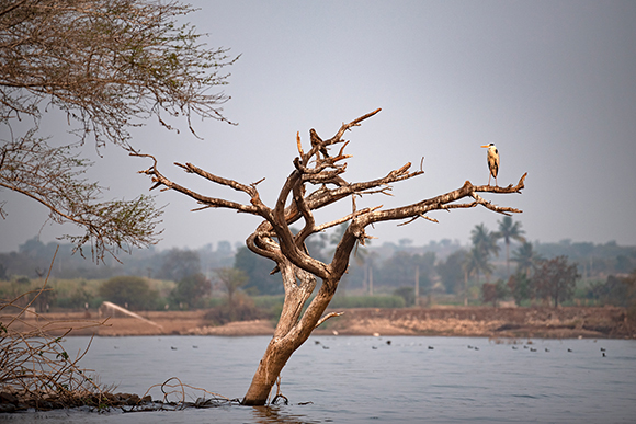 Bhigwan, India