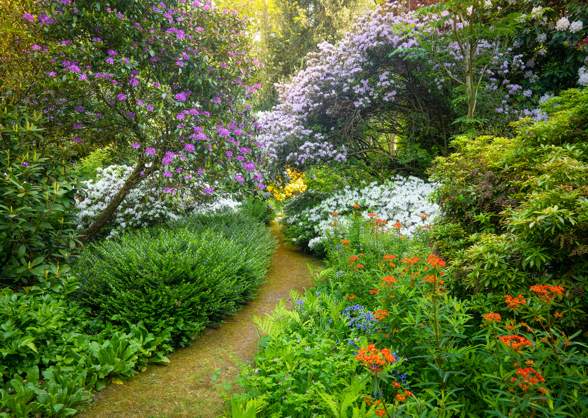 Igpotygardensmhwoodland