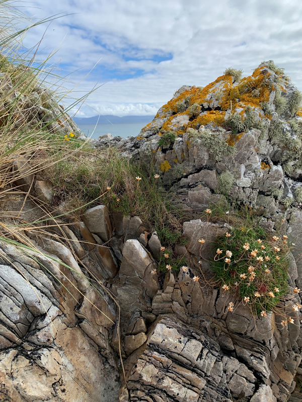 Hannah, St Marks Scool