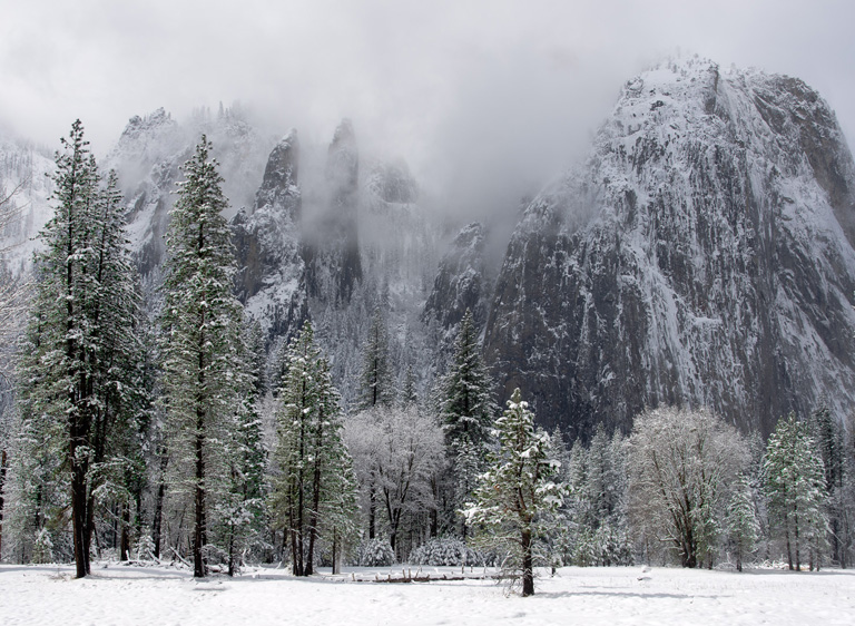 Tonvanderlaan Card LRPS 08