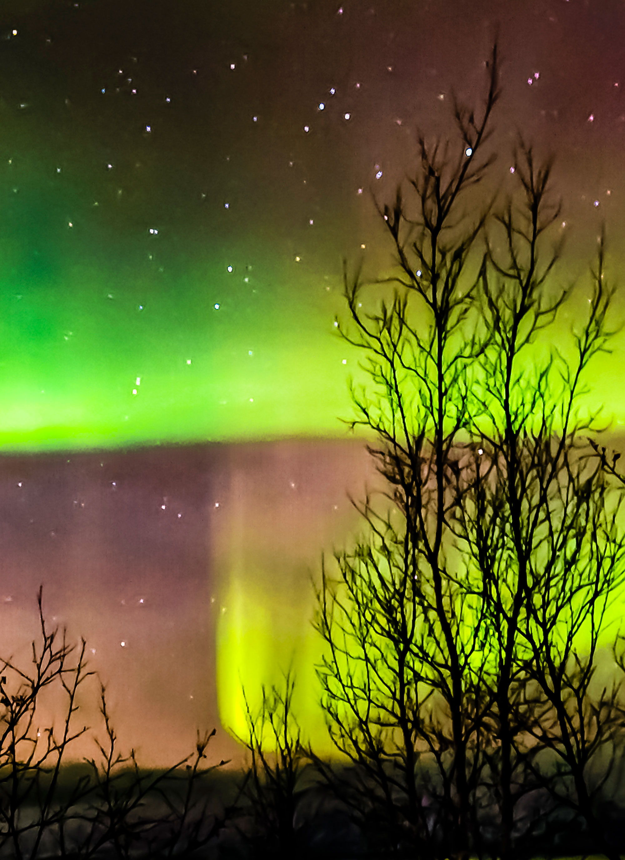 Winter By Esther Serrano