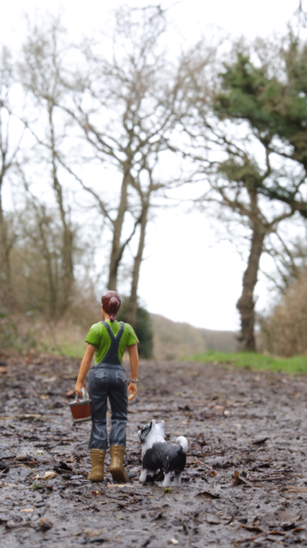 Bene, Trafalgar School