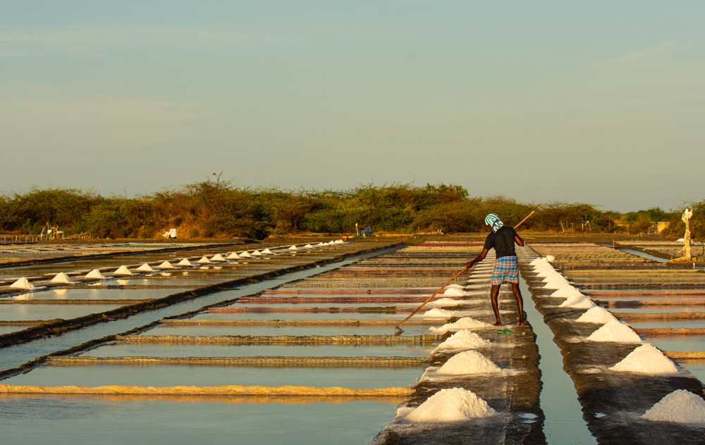The Art Of Natural Salt Making Under The Summer Sun, Kodiyakarai-Vedaranyam, Tamil Nadu, India by 