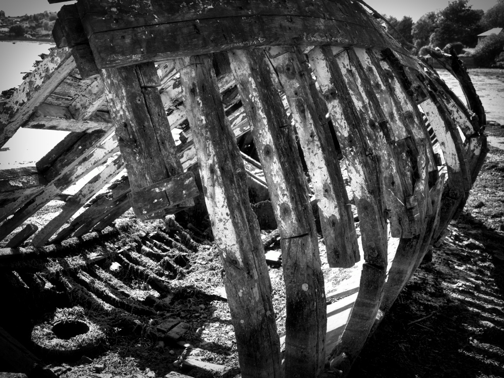 Decay. Mike Bondartschuk Jpeg