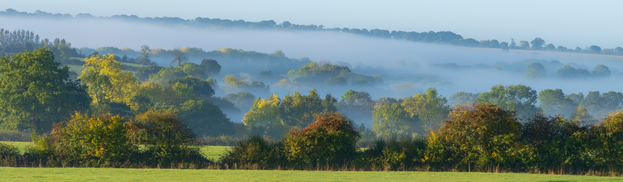 3380464 Robert Lunn My Garden Mist