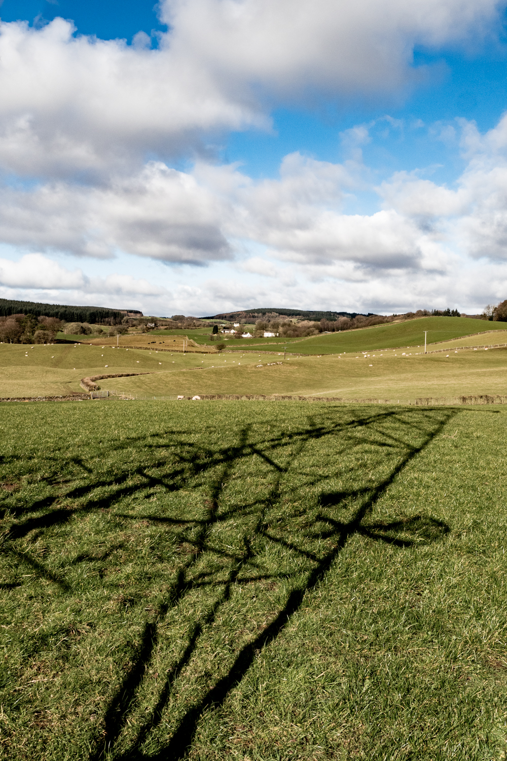 55N 4W Dumfries & Galloway Richard Brown