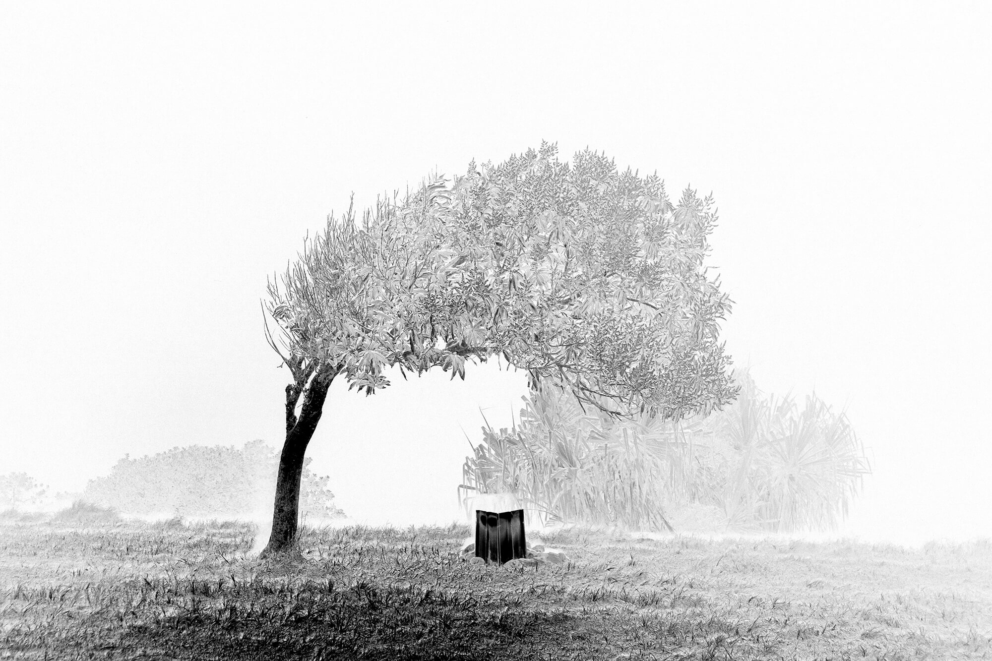 'Strong Winds' From The Series Afterimages By Itmar Freed