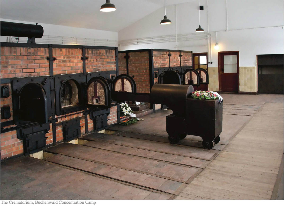 Theirjourney Myjourney 9