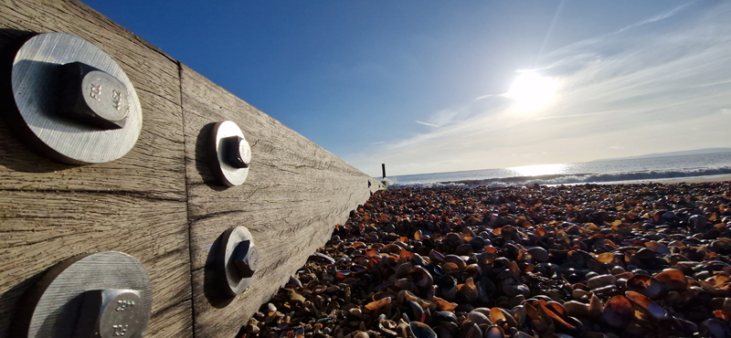 Daiga, Avonwood School