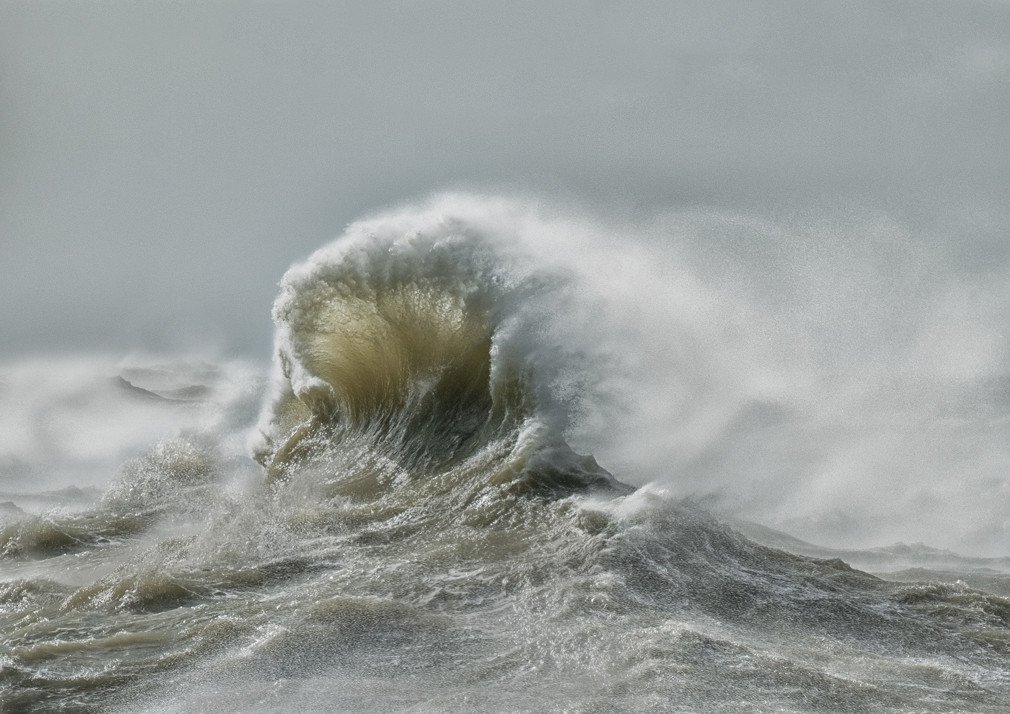 The Clam By Alison S Taylor ARPS