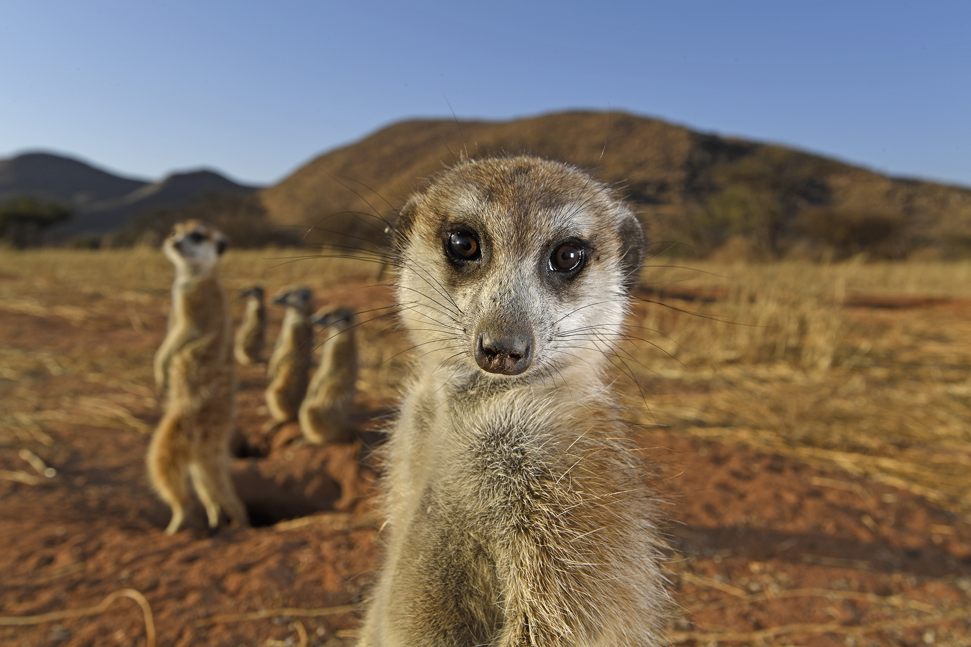 ©Thomas Peschak, Wildlife Photographer Of The Year