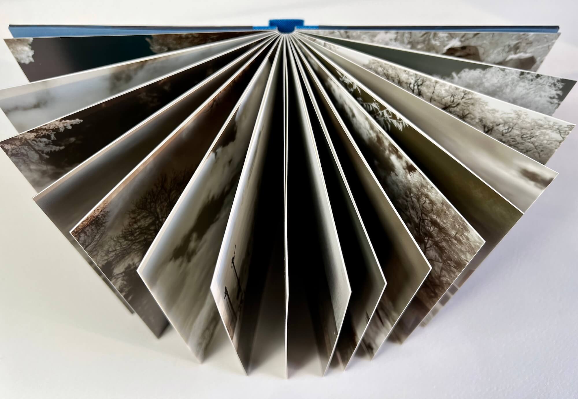 Photobooks are more relevant now than ever'