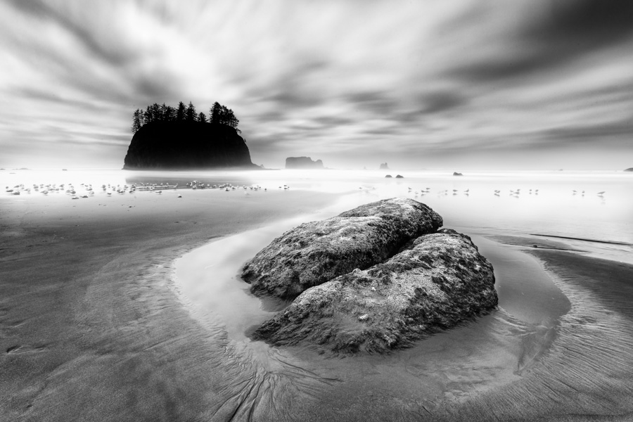 Pacific North West Coast By Robin Williams FRPS, (Australia)