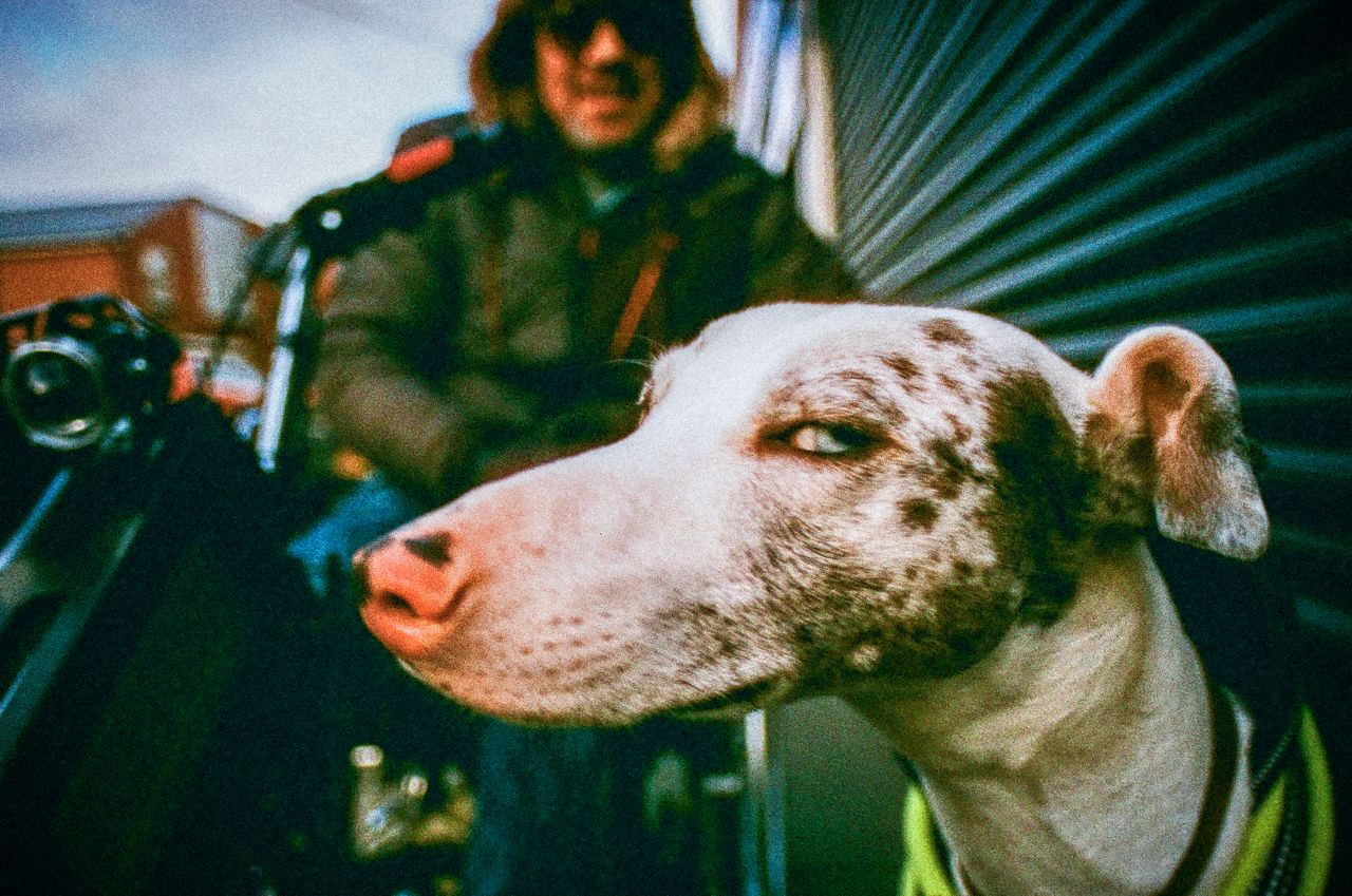 Woman with Dog, Horden, County Durham, by Simon Hill HonFRPS