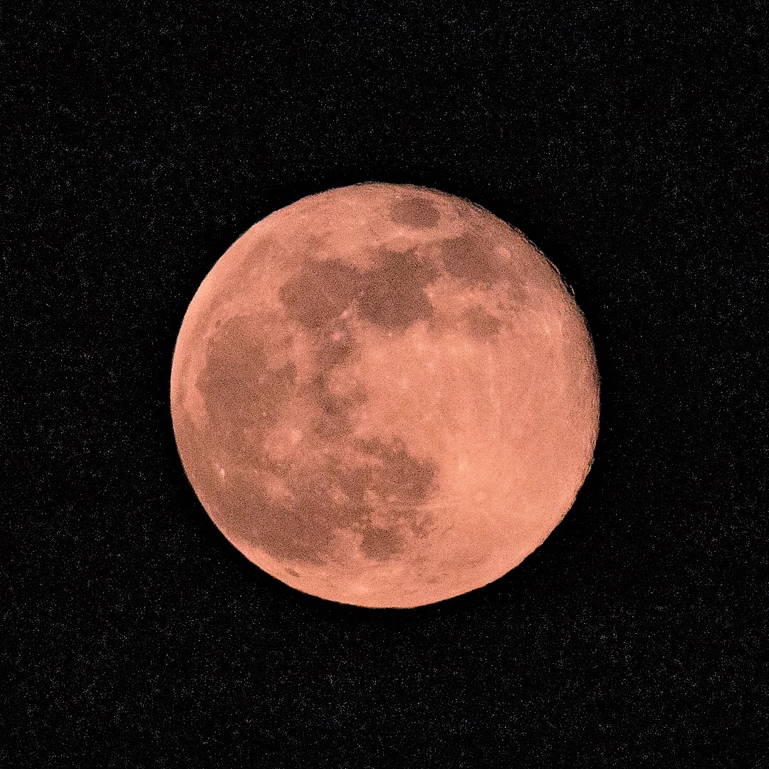 Pink Moon. Jasmina Goodair