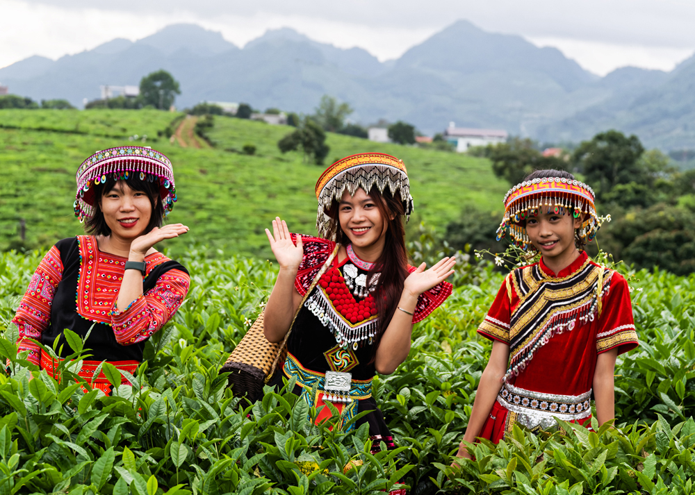 Cultural Appropriation, Vietnam by Jeremy Fraser Mitchell