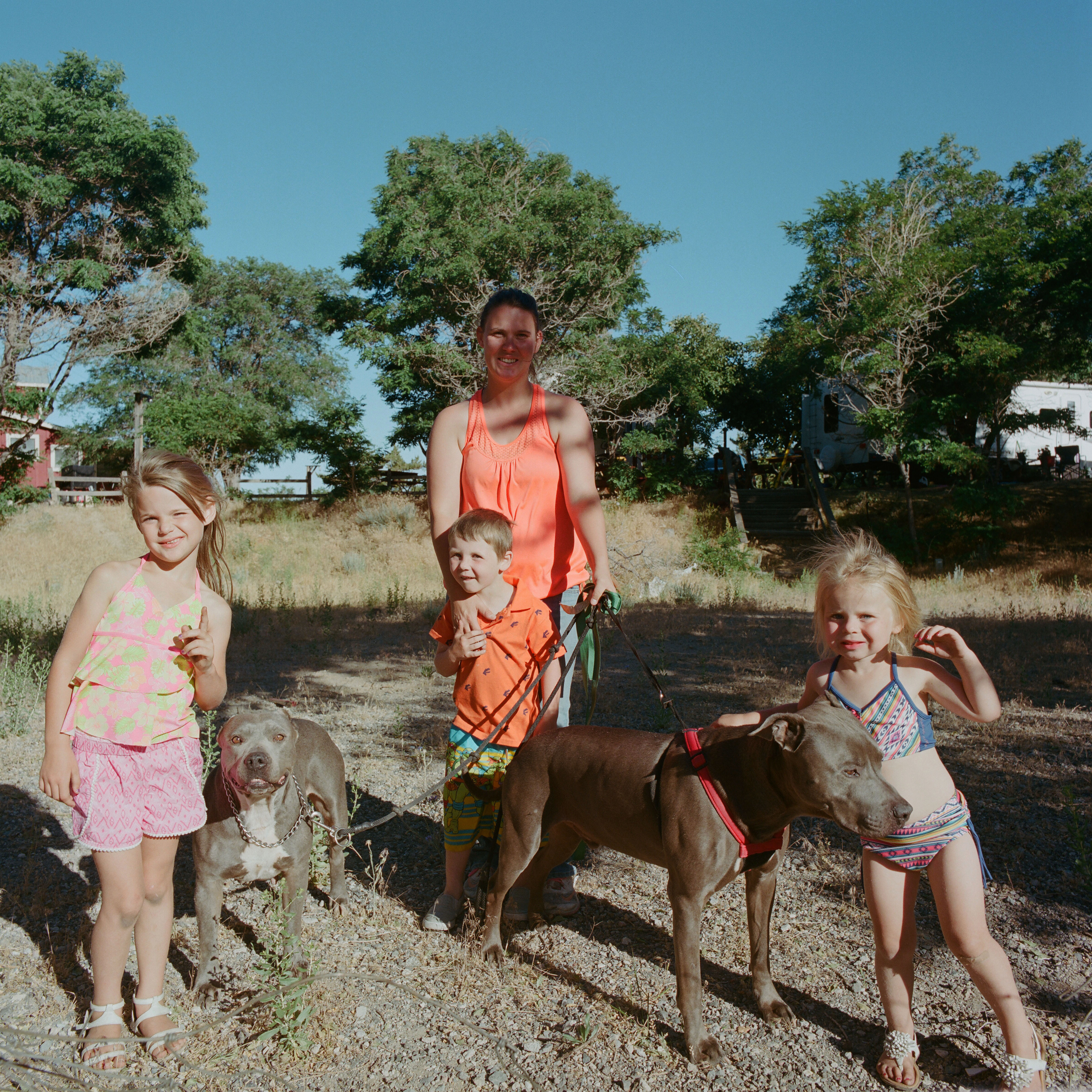 Cebe Loomis main page