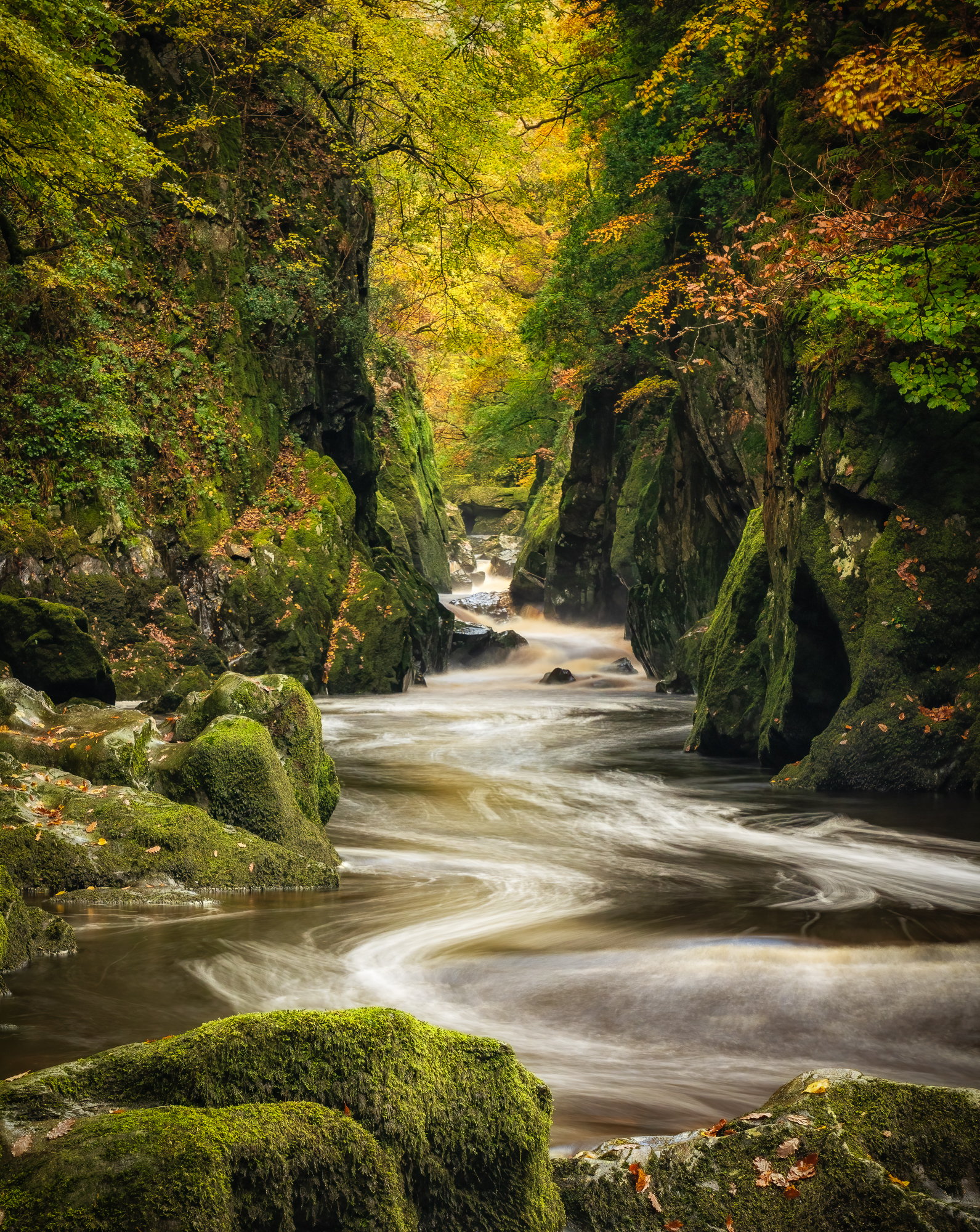 Fairy Glen By Mark Hetherington