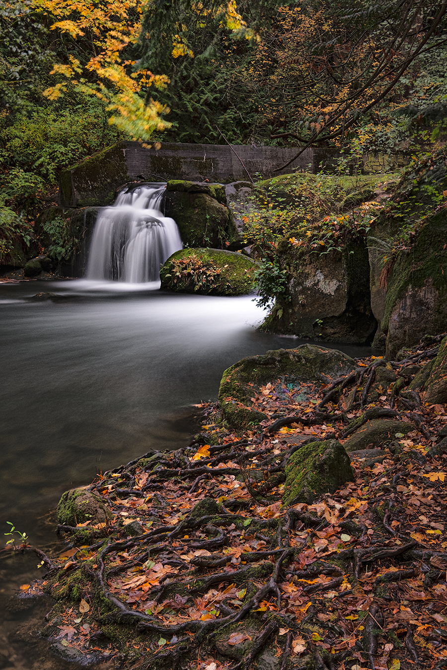 Watcom Creek by Donald Simpson ARPS (USA)