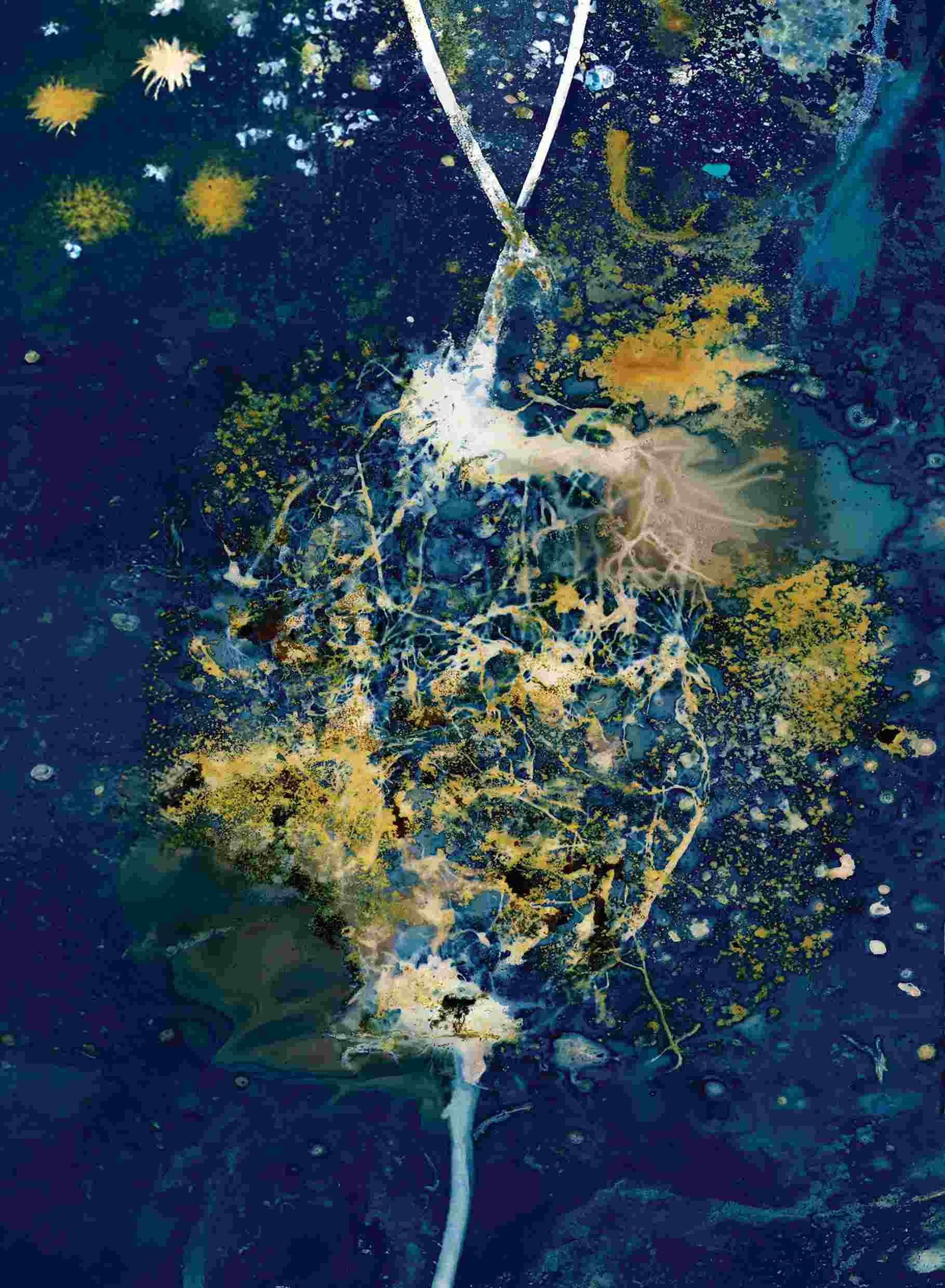 Hallowell Gayle Duet Of Hidden Conversation I 150Kb
