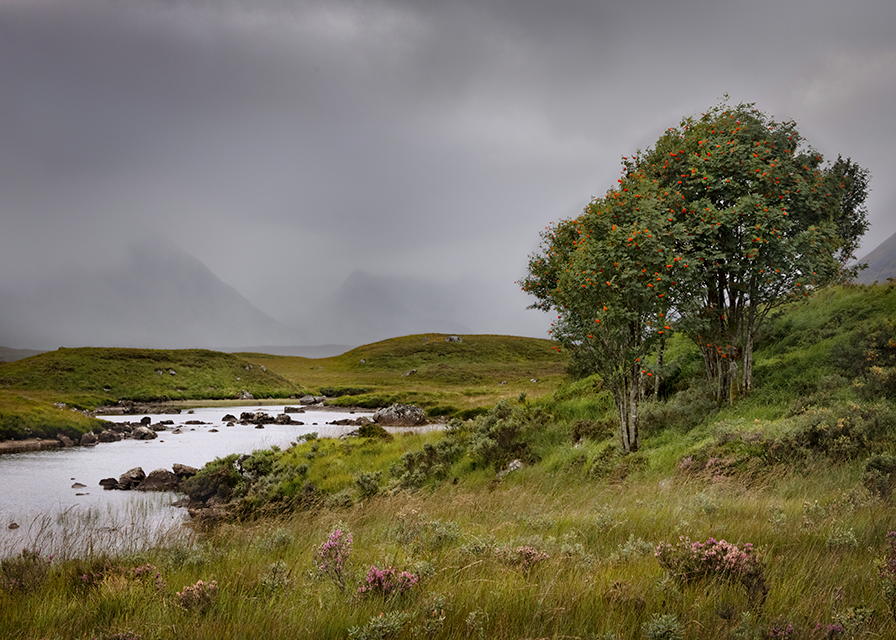Rannoch moor and the Black Mount