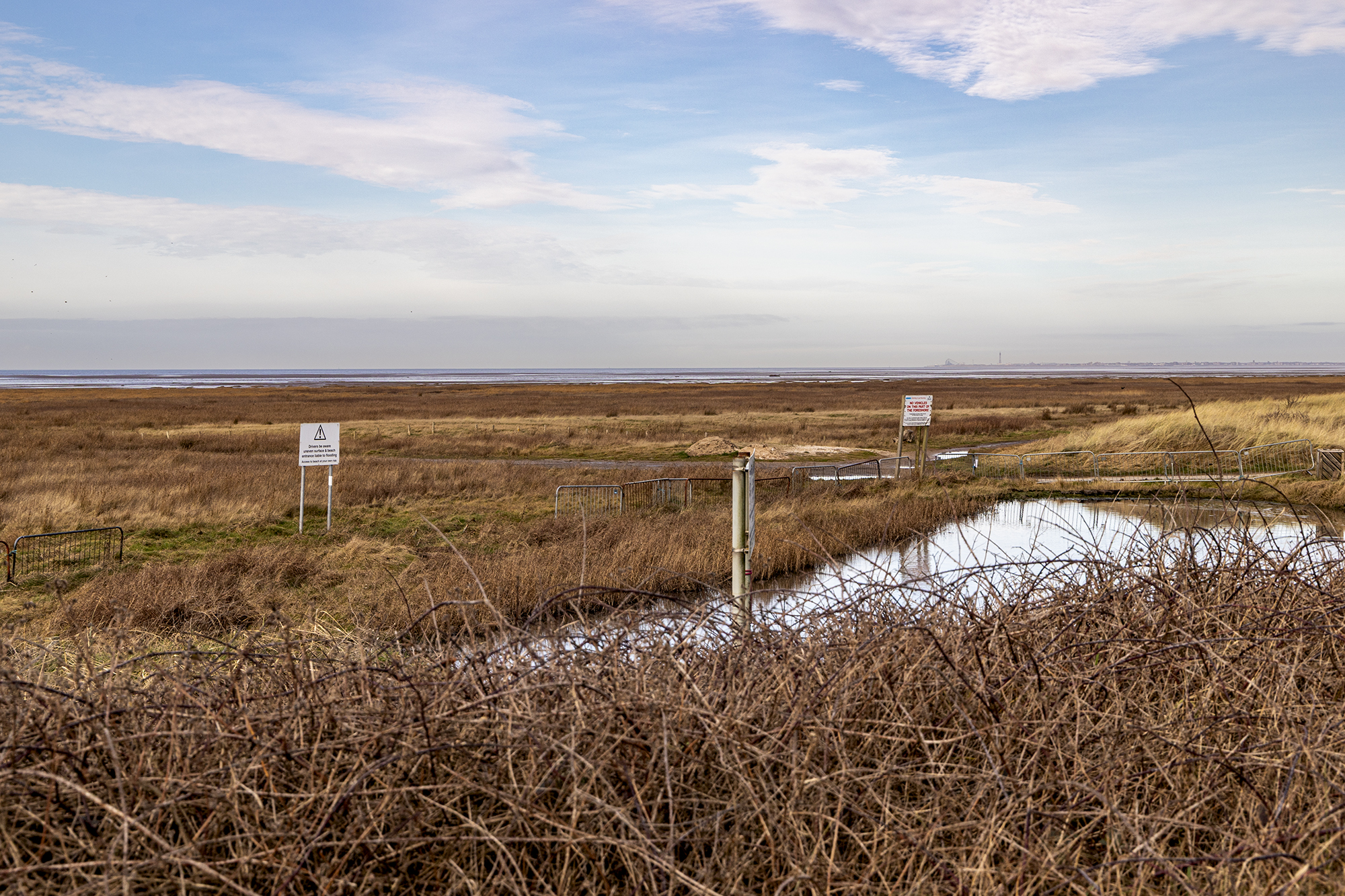 5578525 Evelynne Rogers Birkdale Rewilding