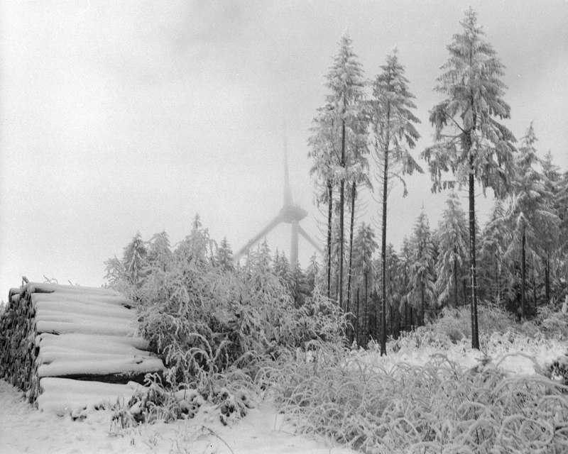 5502368 Christina Osborne Wind Power