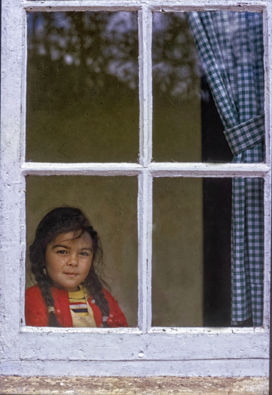 Miriam At The Window By Ashok Viswanathan India