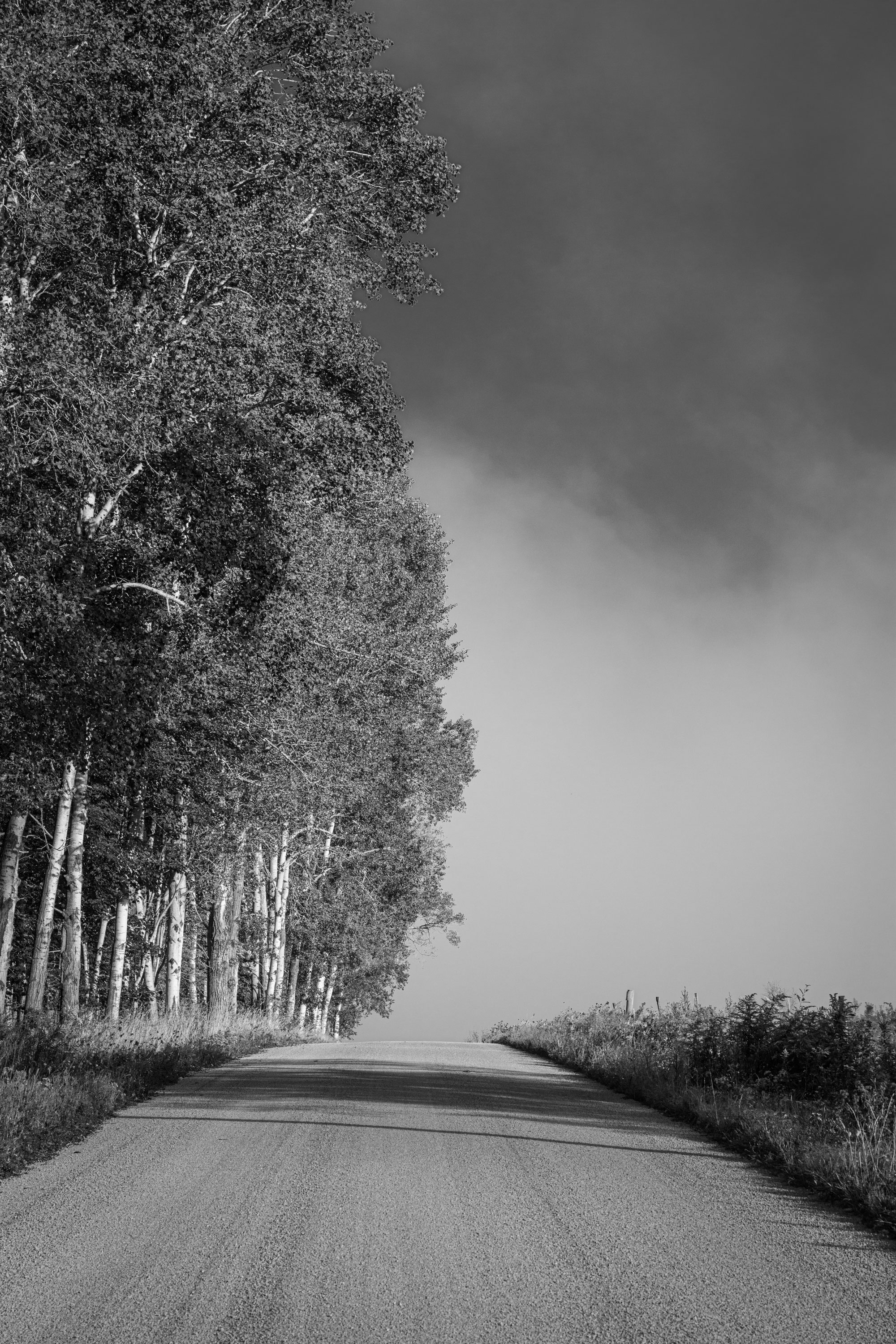 Uphill By Candia Peterson ARPS