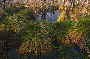 Gerry Phillipson ARPS Card 12