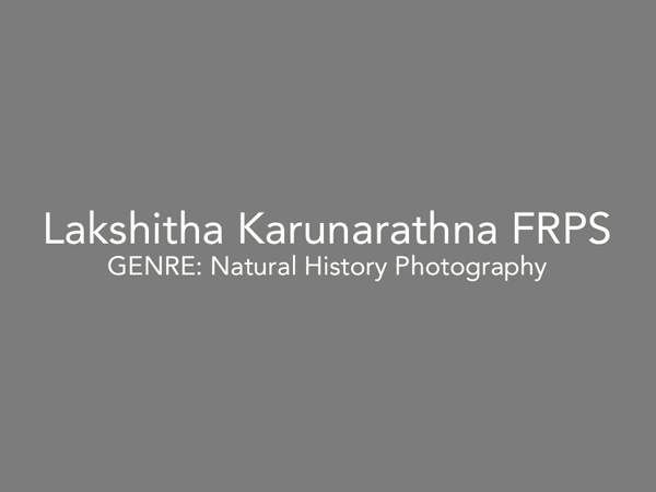Lakshitha Karunarathna FRPS GIF