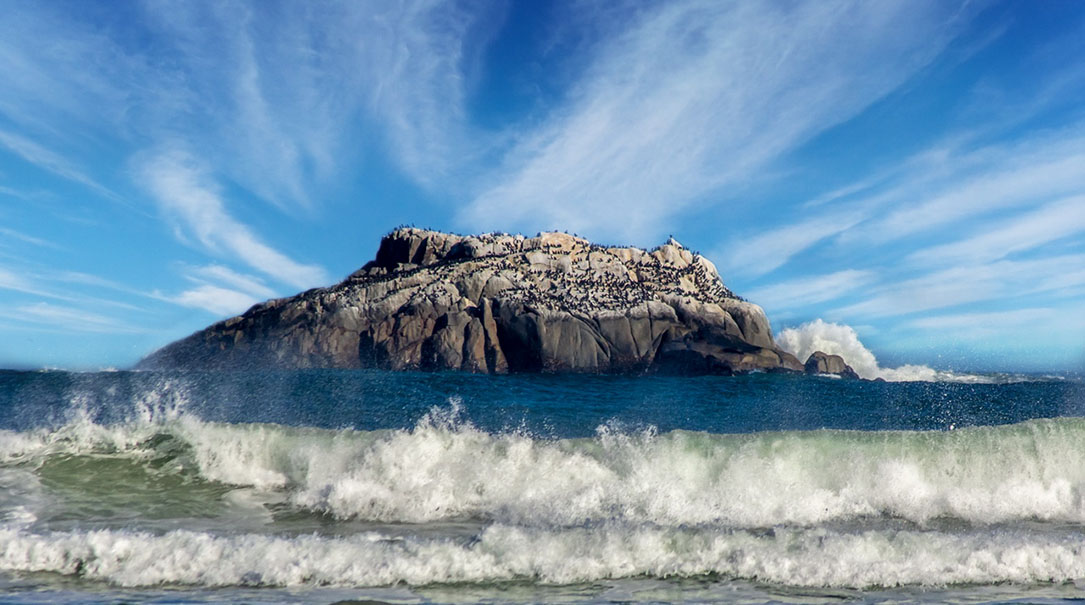 LRPS Panel Image By Sam Segar LRPS