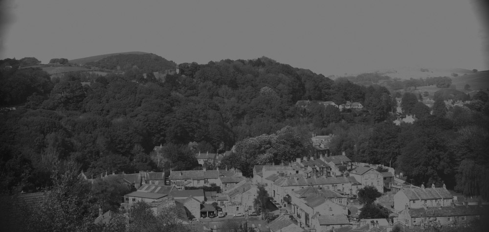 Blue Filtered Landscape