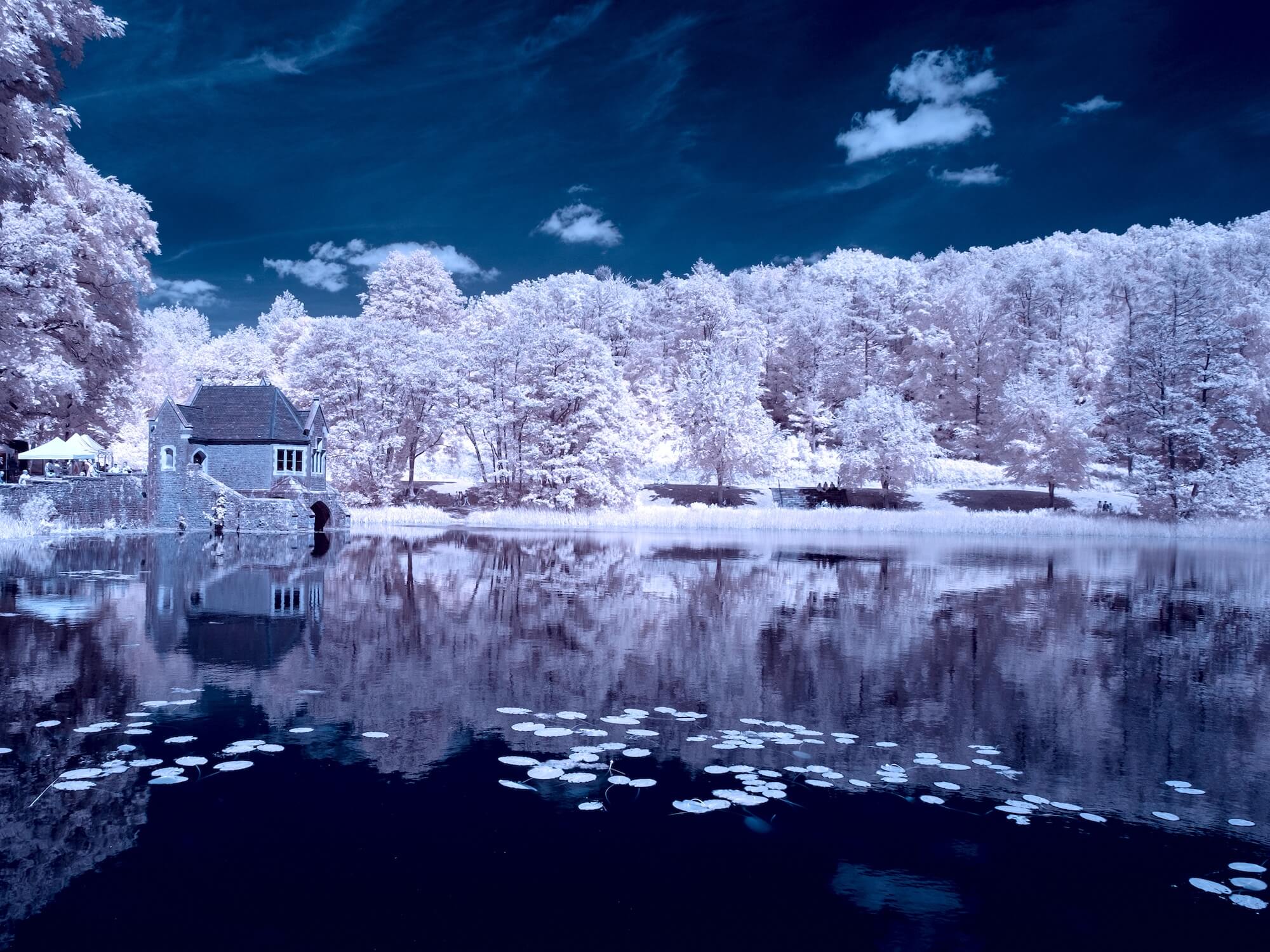 Tortworth Boathouse In Infrared Anne Bryson LRPS
