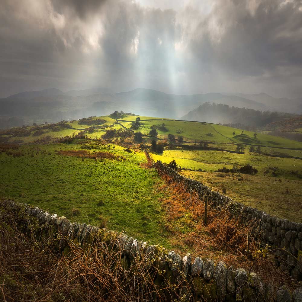 Galloway Evening By Peter Stott LRPS