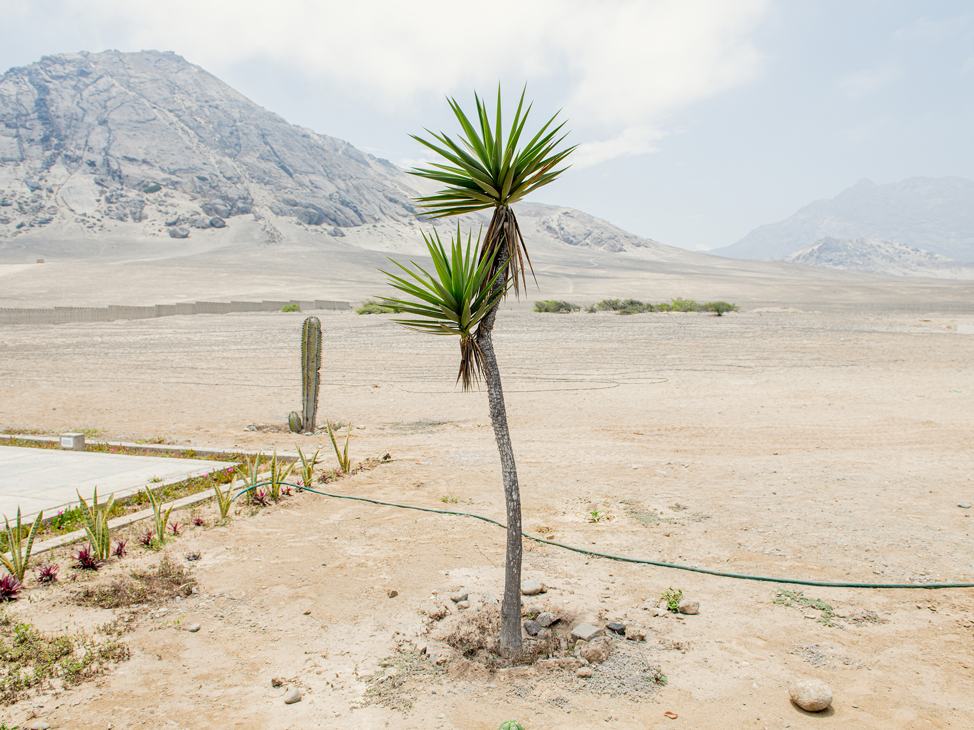 Monsters Myths Metaphors0014