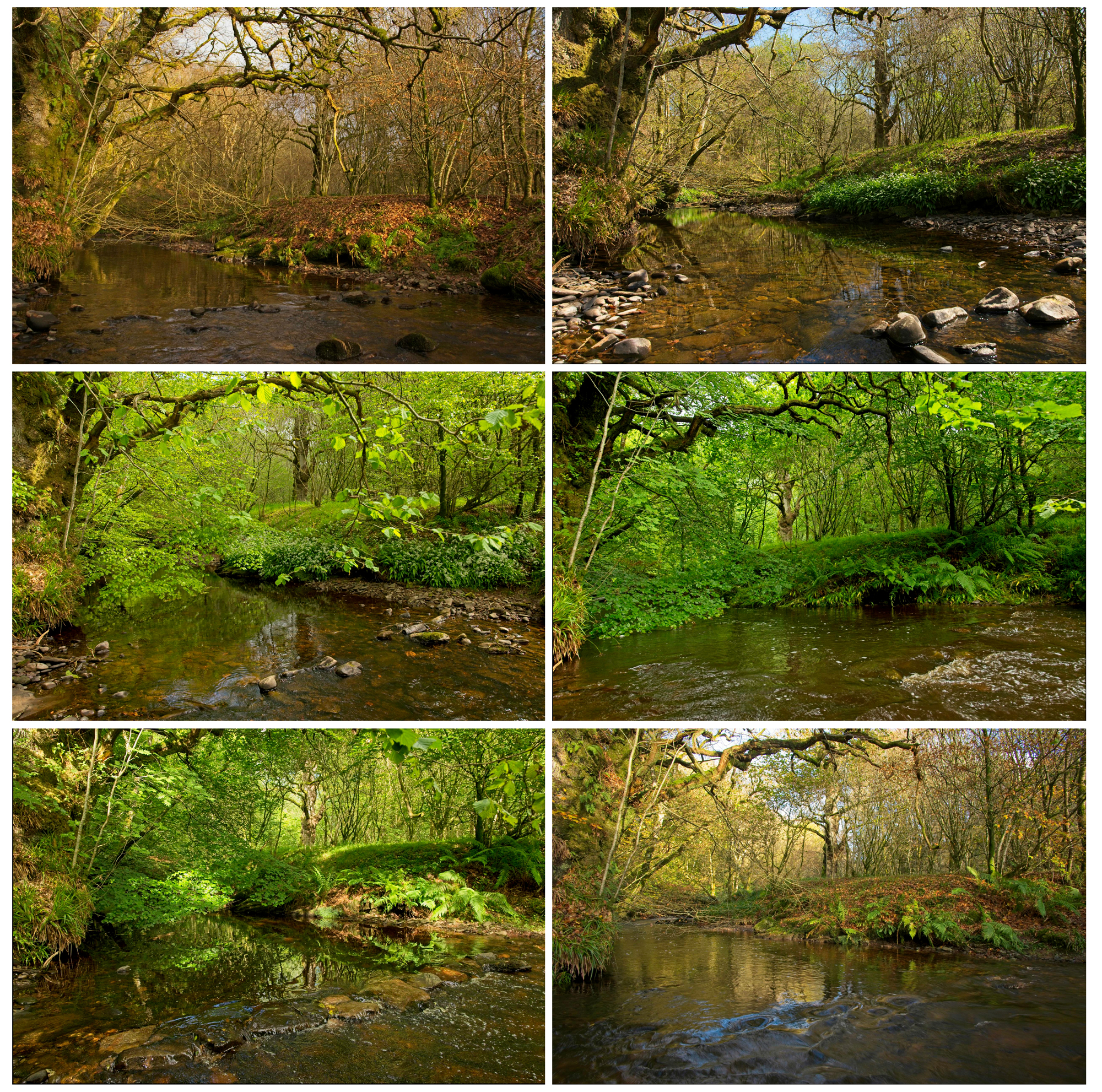 Crichope Burn Panel