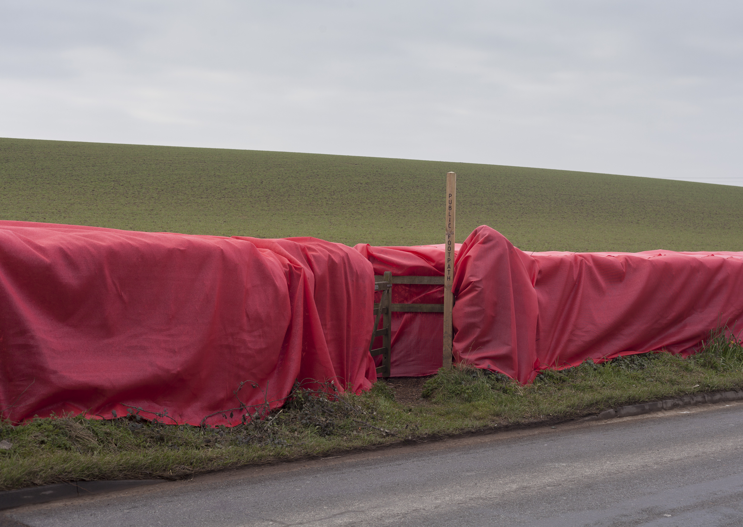 Jesse Alexander Hedge Coxley The Nymph And Teh Shepherd 2017