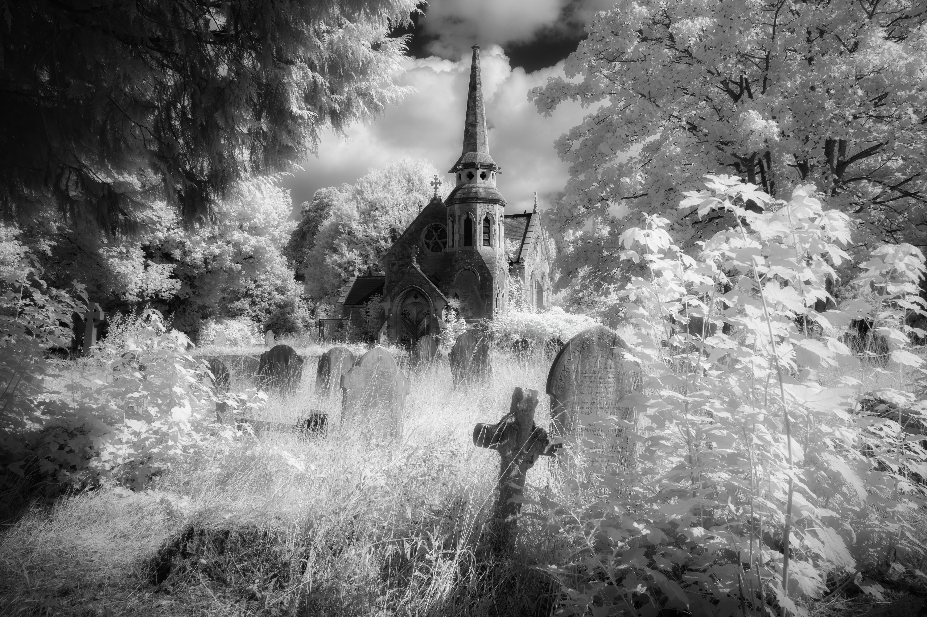 1St Place – Hither Green Cemetery By Peter Milton LRPS