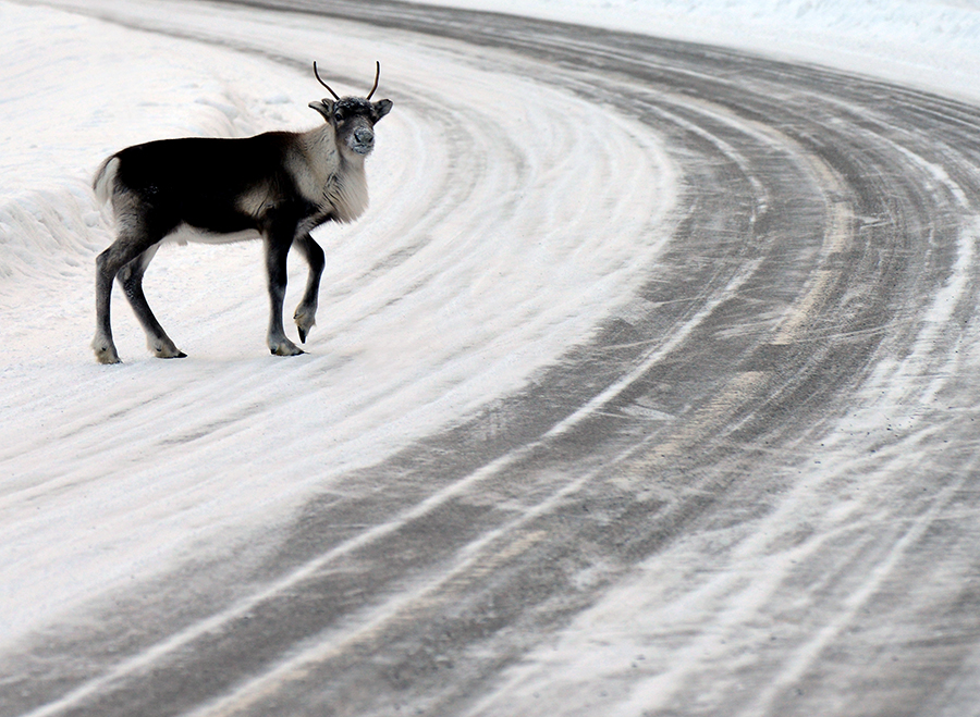 Crossing by Pavllou Landraagon Kokko LRPS (Sweden)